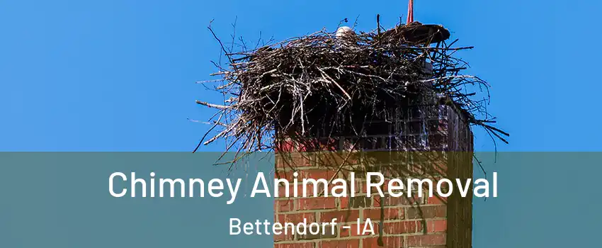  Chimney Animal Removal Bettendorf - IA