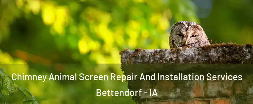  Chimney Animal Screen Repair And Installation Services Bettendorf - IA