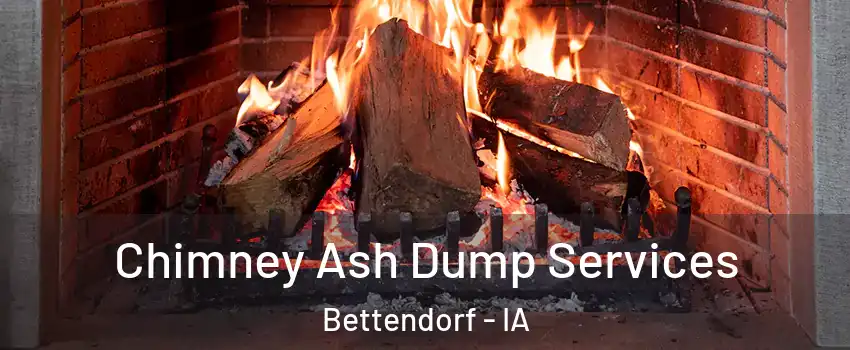  Chimney Ash Dump Services Bettendorf - IA