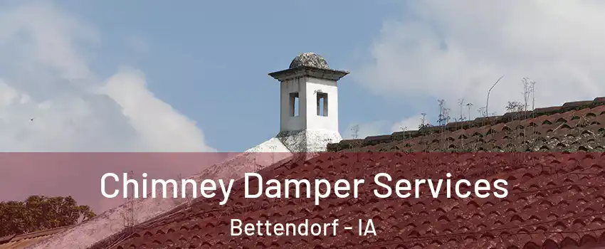  Chimney Damper Services Bettendorf - IA
