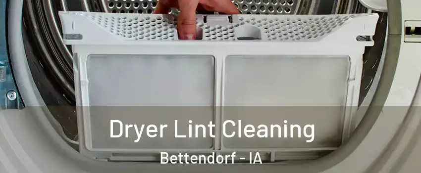  Dryer Lint Cleaning Bettendorf - IA