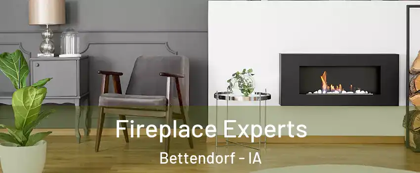  Fireplace Experts Bettendorf - IA