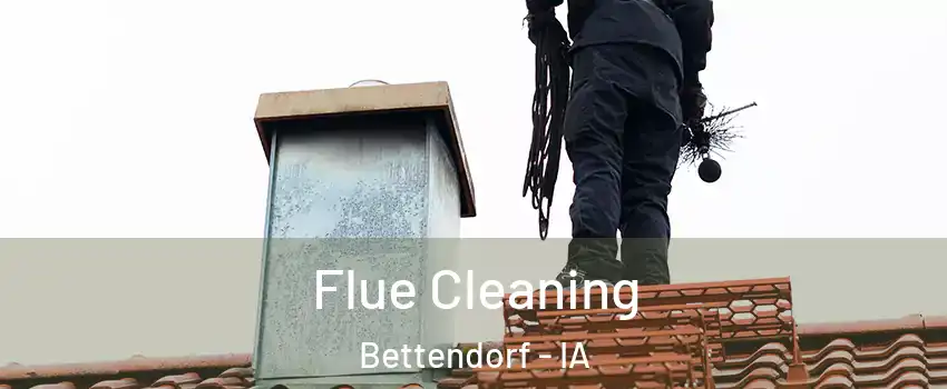  Flue Cleaning Bettendorf - IA
