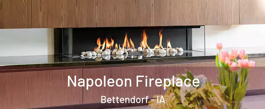  Napoleon Fireplace Bettendorf - IA