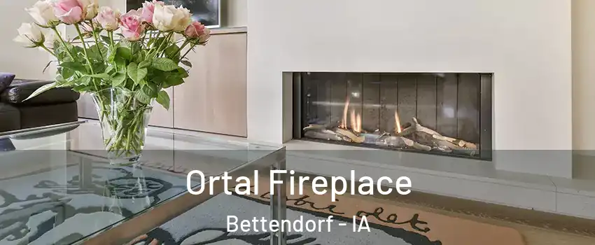  Ortal Fireplace Bettendorf - IA